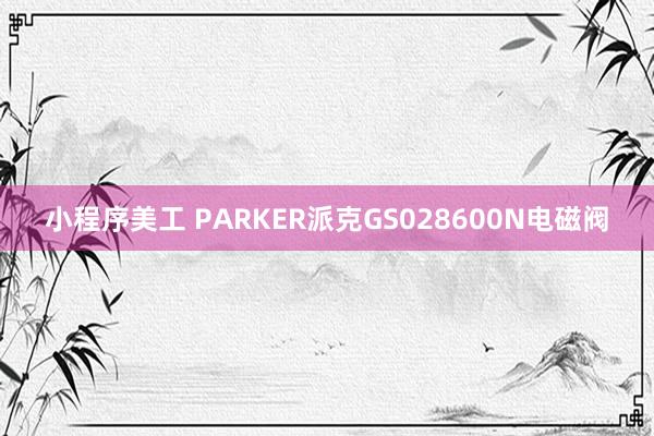 小程序美工 PARKER派克GS028600N电磁阀