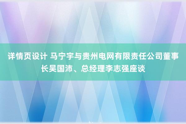 详情页设计 马宁宇与贵州电网有限责任公司董事长吴国沛、总经理李志强座谈