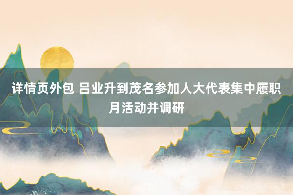 详情页外包 吕业升到茂名参加人大代表集中履职月活动并调研