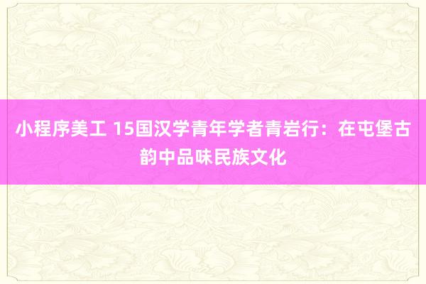 小程序美工 15国汉学青年学者青岩行：在屯堡古韵中品味民族文化