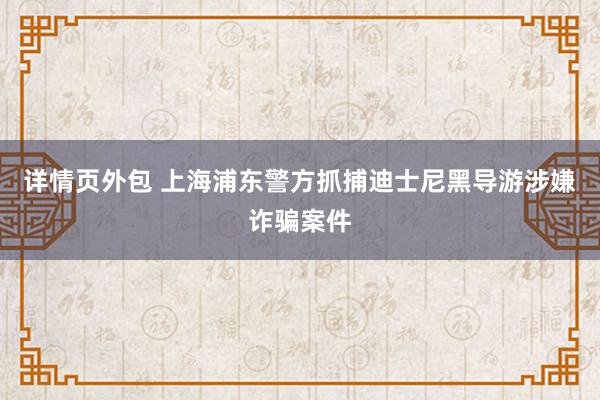 详情页外包 上海浦东警方抓捕迪士尼黑导游涉嫌诈骗案件